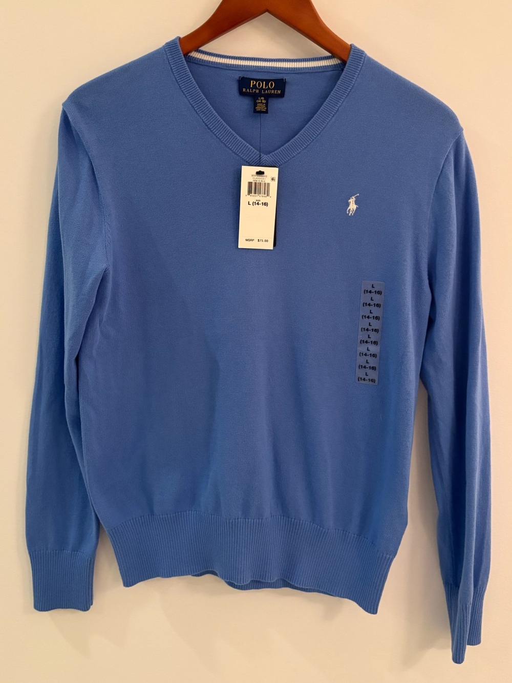 Polo by Ralph Lauren Boys V-Neck Sweater - Blue NWT